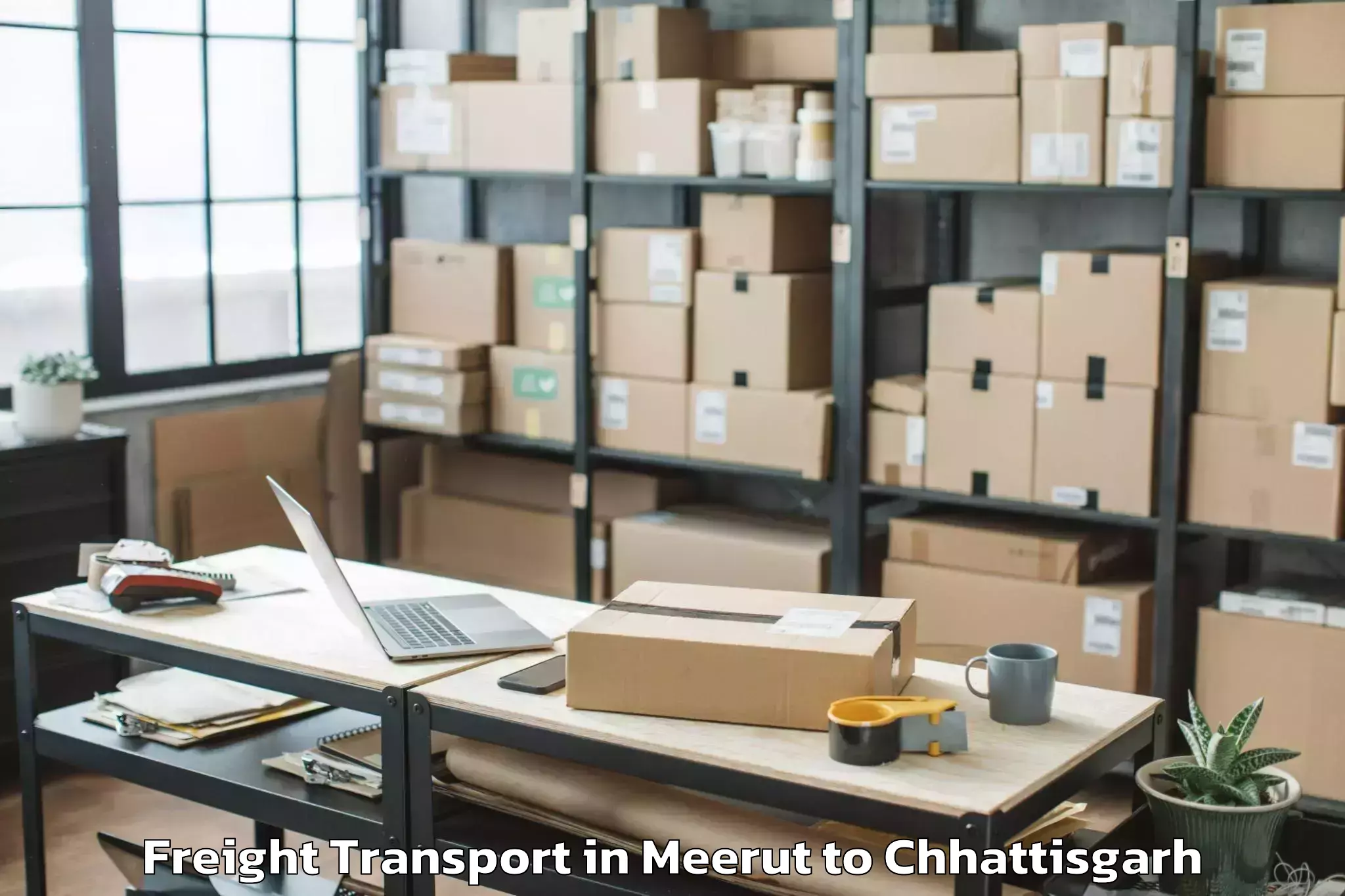 Book Meerut to City Center Mall Raipur Freight Transport